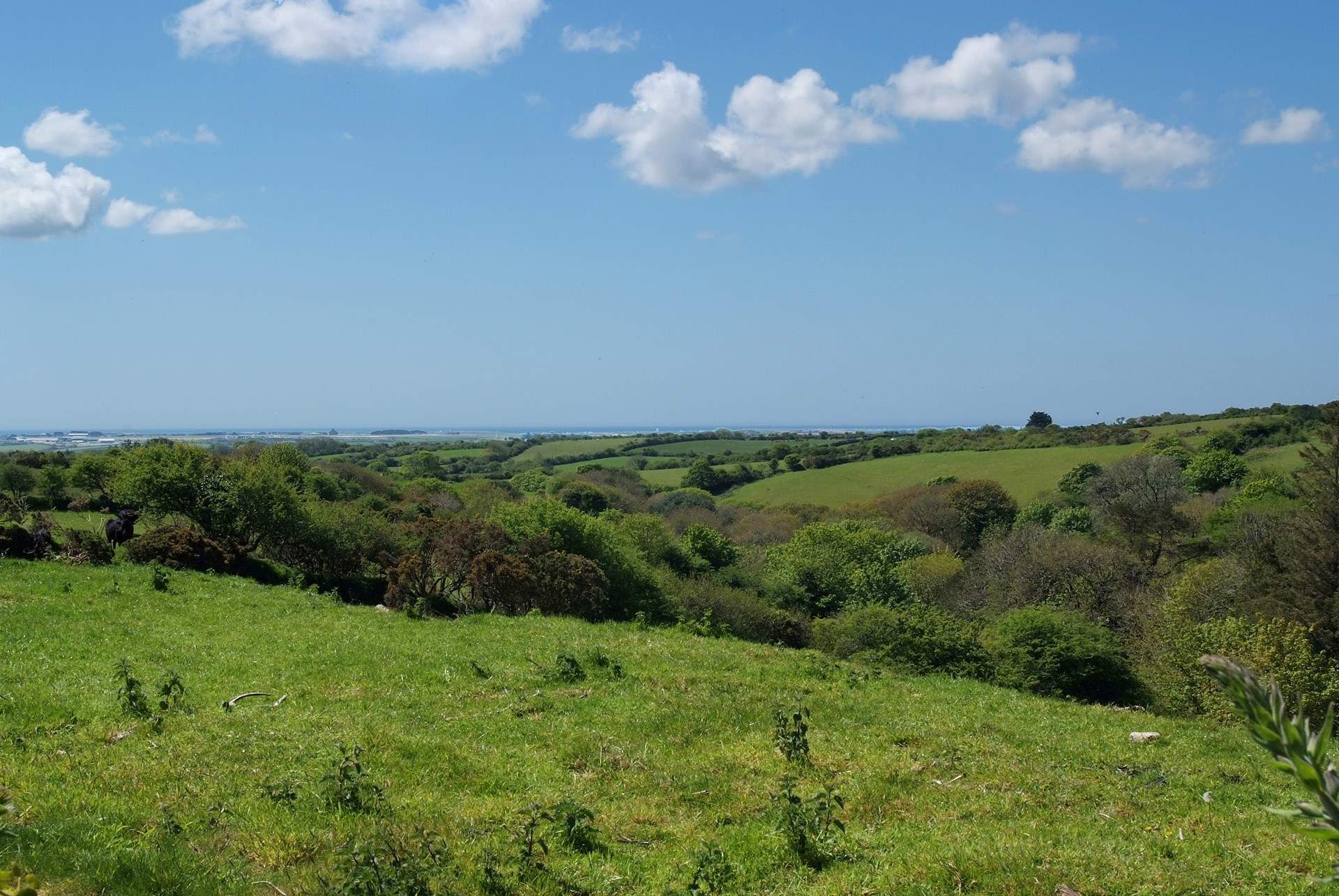 Wonderful views across the verdant countryside and blue seas on The Lizard.