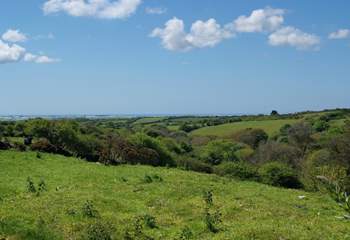 Wonderful views across the verdant countryside and blue seas on The Lizard.