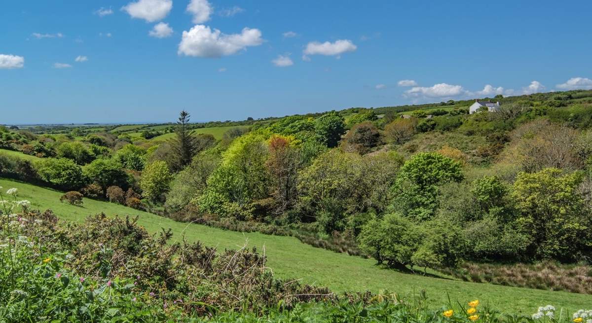 Your rural location gives you wonderful views and only a 15 minute drive to Helston's shops, pubs and supermarkets.