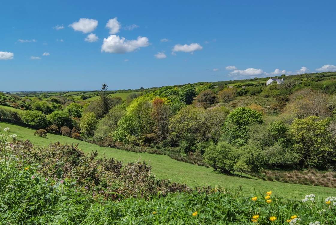 Your rural location gives you wonderful views and only a 15 minute drive to Helston's shops, pubs and supermarkets.