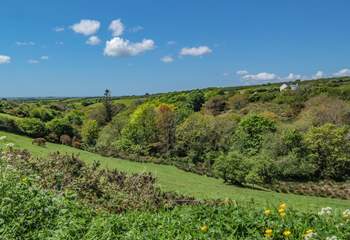 Your rural location gives you wonderful views and only a 15 minute drive to Helston's shops, pubs and supermarkets.