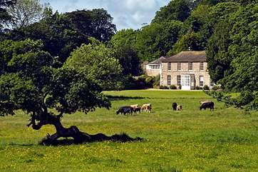 The view across the gardens to the house.