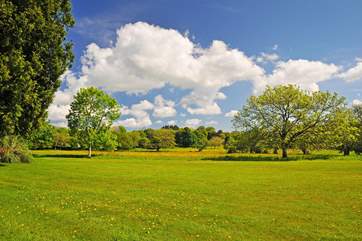 The view across the gardens from the house.