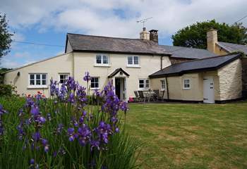 This beautiful traditional Exmoor cottage has a very private enclosed cottage garden.