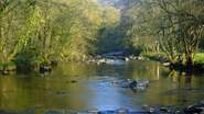 The beautiful River Barle winds it's way through parts of Exmoor.  Take a wonderful walk along it's banks to immerse yourself in nature.  See if you can spot a trout!