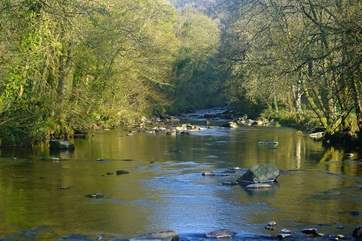 The beautiful River Barle winds it's way through parts of Exmoor. Take a wonderful walk along it's banks to immerse yourself in nature. See if you can spot a trout!