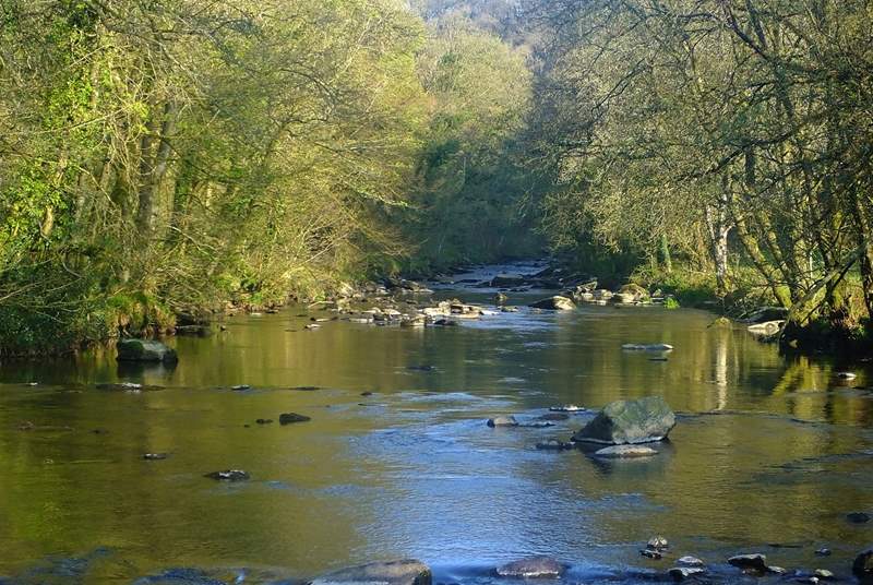 The beautiful River Barle winds it's way through parts of Exmoor.  Take a wonderful walk along it's banks to immerse yourself in nature.  See if you can spot a trout!