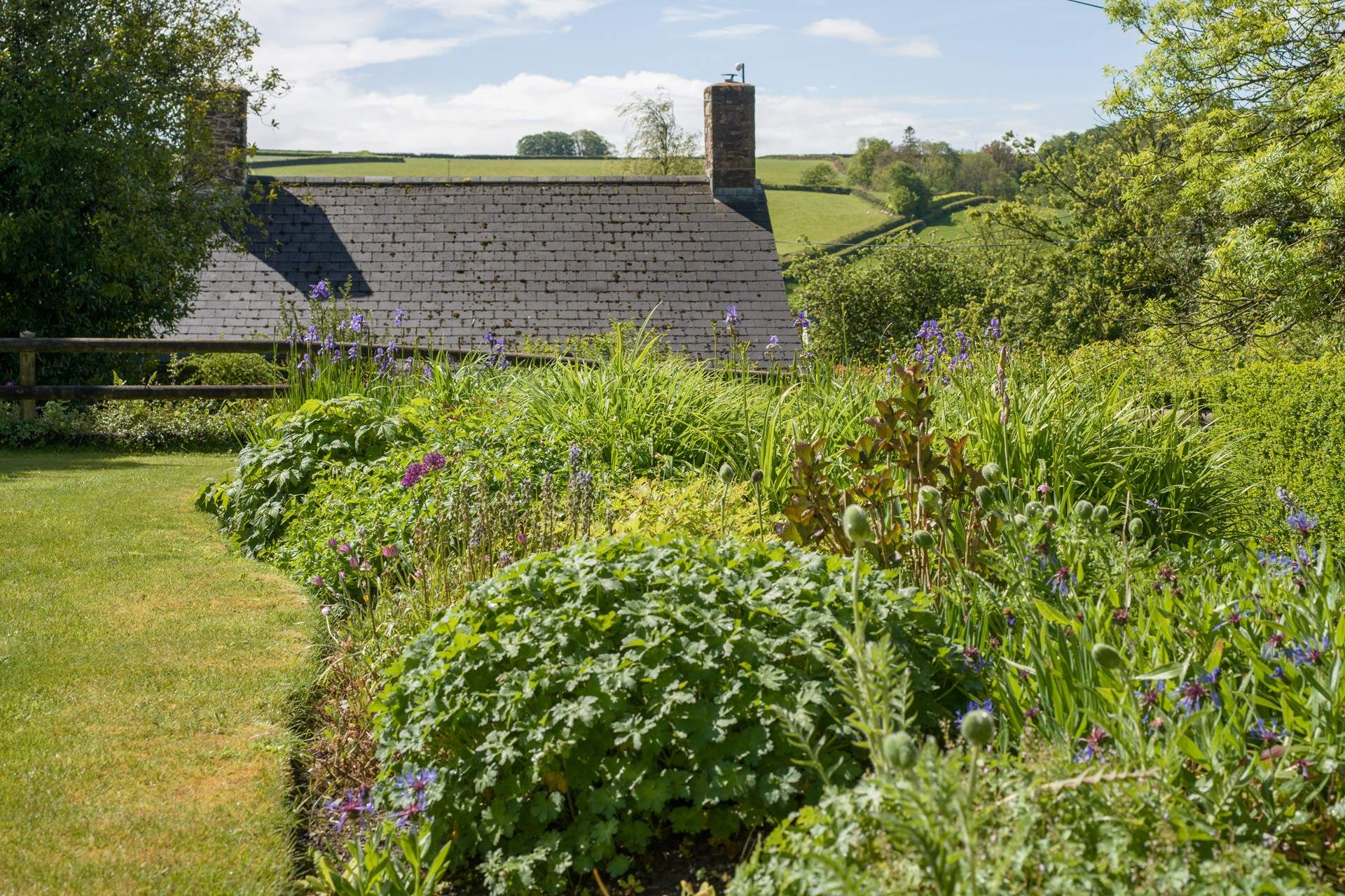 Views over the roof tops to the rolling hills.