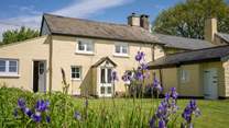 This traditional Exmoor cottage has a very private enclosed cottage garden.