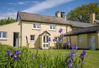 This traditional Exmoor cottage has a very private enclosed cottage garden.