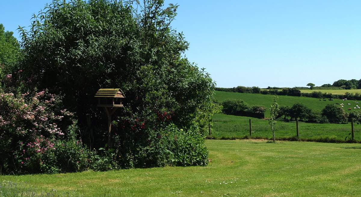 The view from the cottage over the lawn to the owners' fields beyond.