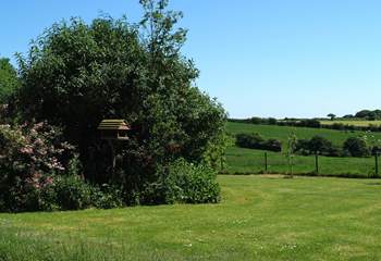 The view from the cottage over the lawn to the owners' fields beyond.