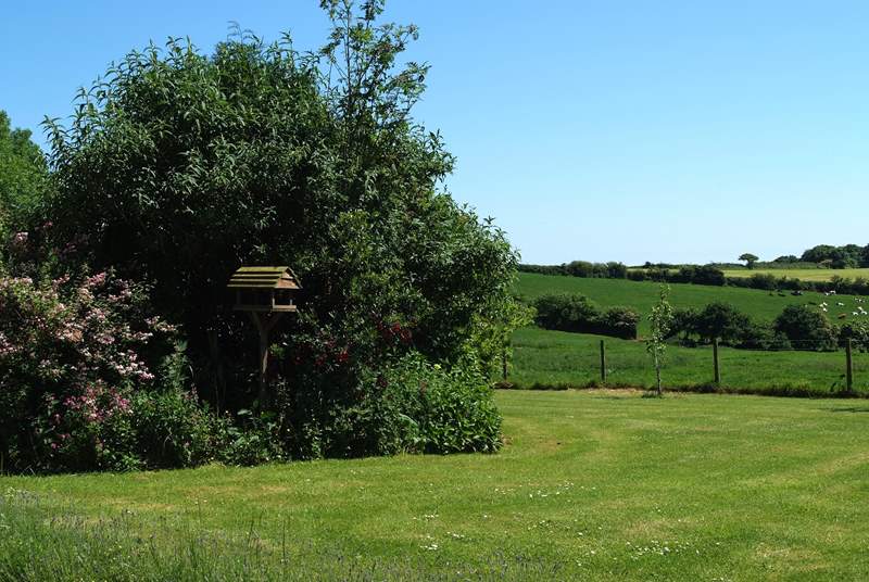 The view from the cottage over the lawn to the owners' fields beyond.