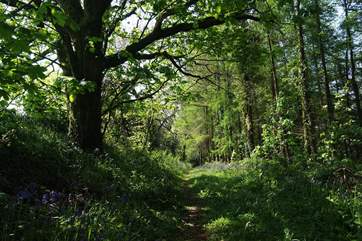 Guests are welcome to walk through the owners' woods and fields.