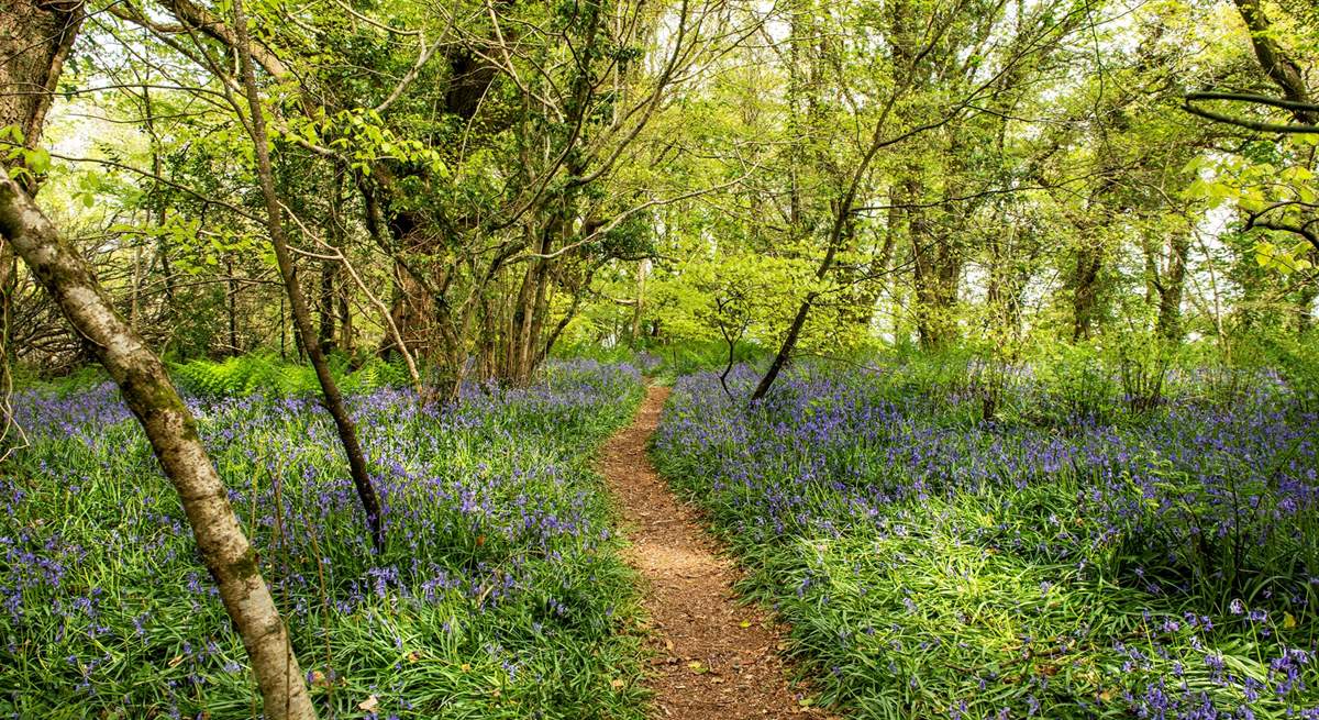 Guests are welcome to walk through the owners' woods and fields.