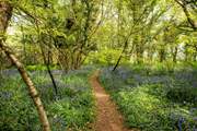 Guests are welcome to walk through the owners' woods and fields.