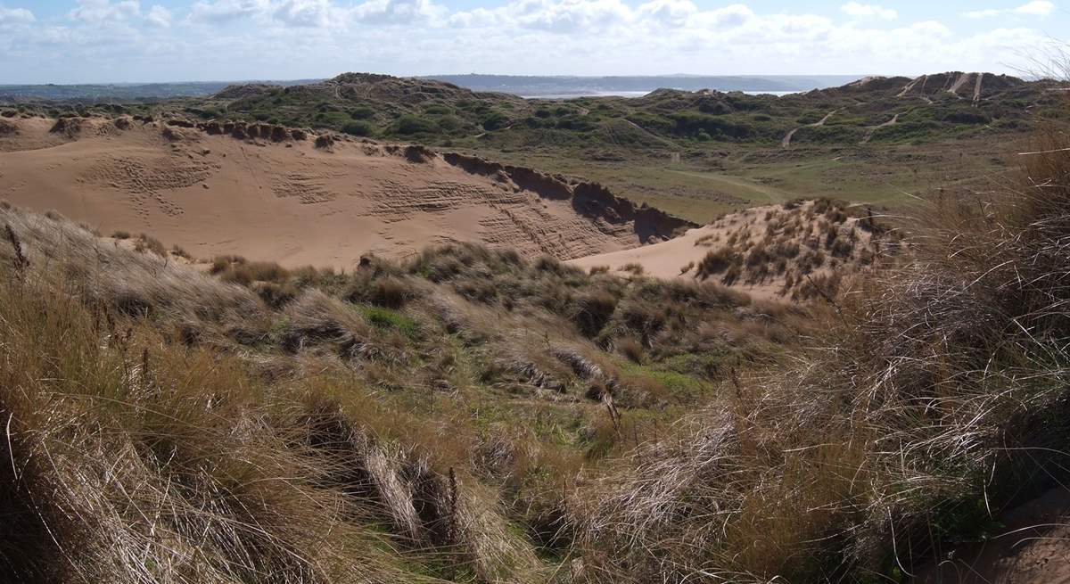 The UNESCO World Heritage Site at Braunton Burrows - 1000 hectares of sand dunes leading to the three mile long beach.