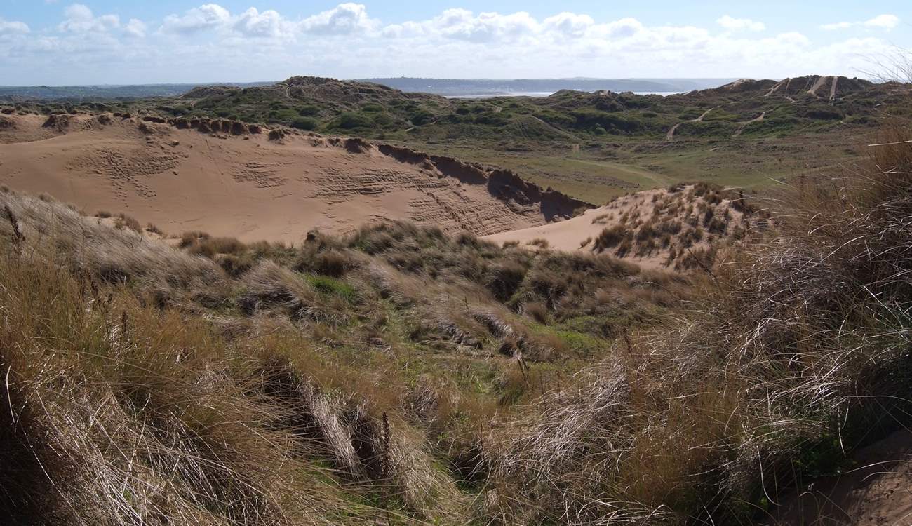 The UNESCO World Heritage Site at Braunton Burrows - 1000 hectares of sand dunes leading to the three mile long beach.