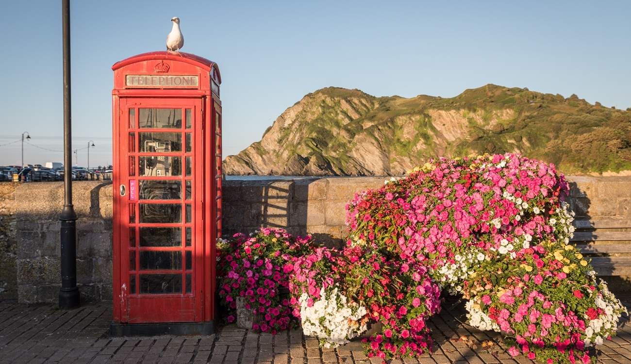 Head to the coast and enjoy the sea air and the dramatic cliftop walks.