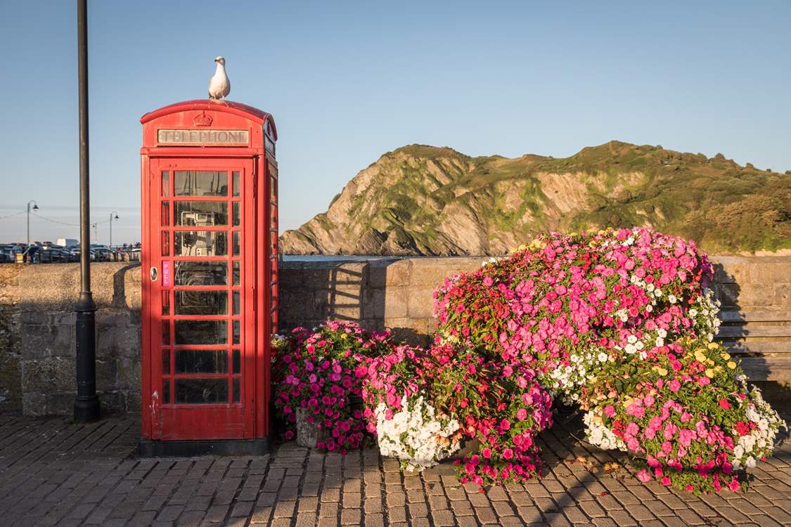 Head to the coast and enjoy the sea air and the dramatic cliftop walks.