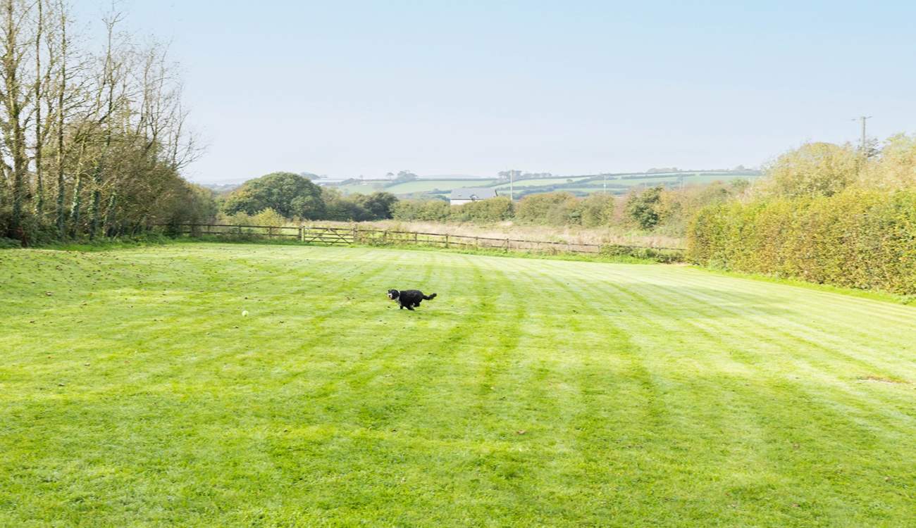 Here is another view of the paddocks, a fantastic area for exercising your dog.