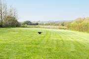 Here is another view of the paddocks, a fantastic area for exercising your dog.