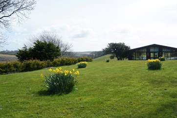 The grounds.