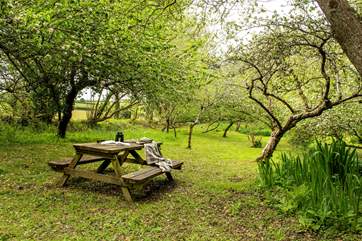 Why not pack up a picnic?