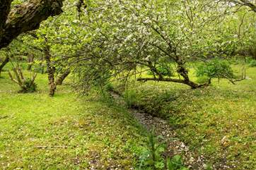 The walk through the woods is quite special