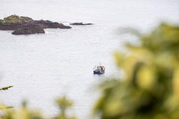 Watch the fishing boats at work in the bay.