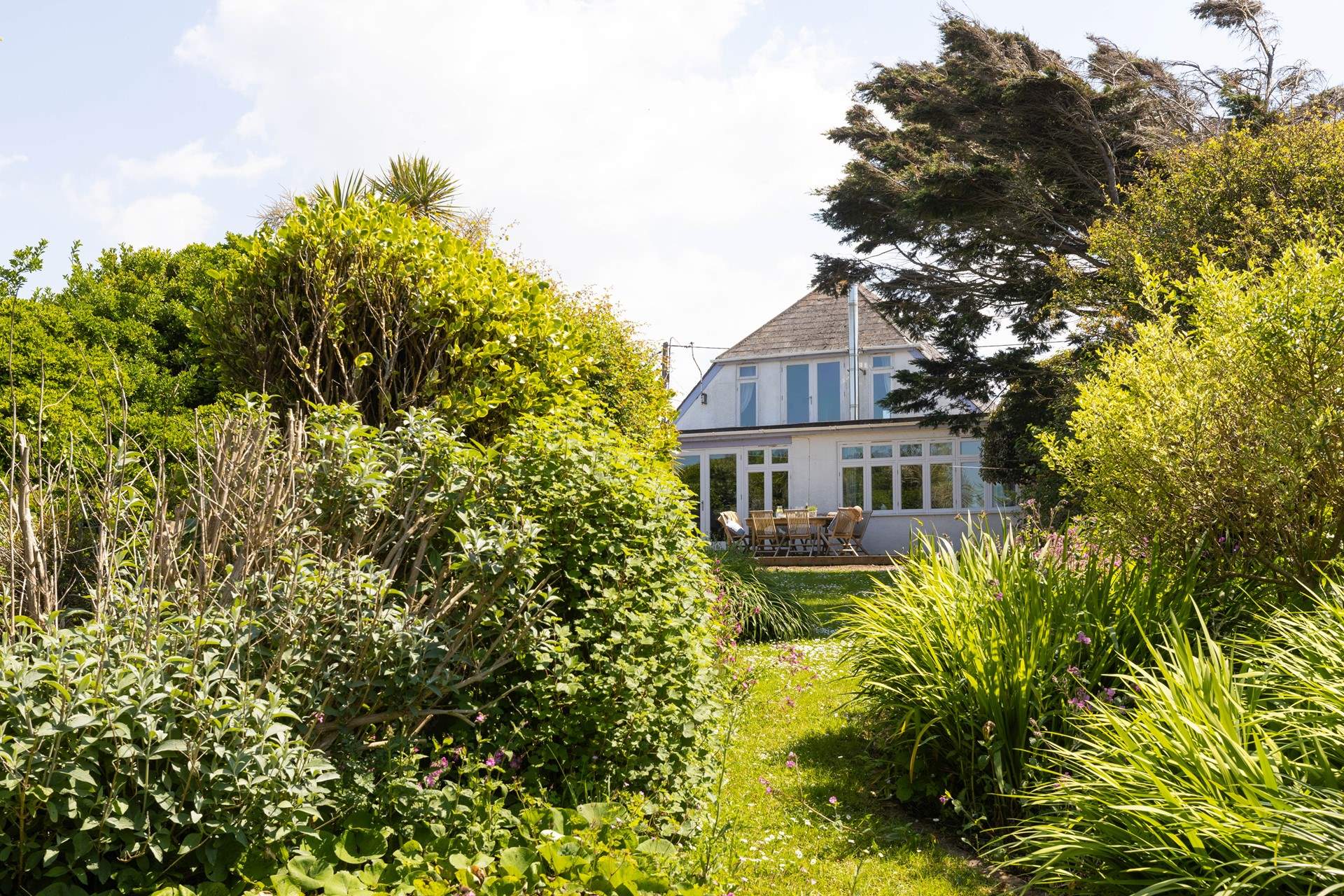 Welcome to Twelve Steps, looking through from the garden. 