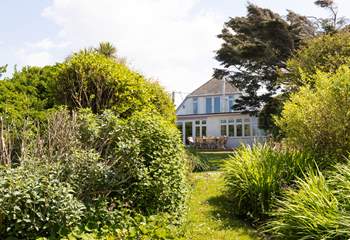 Welcome to Twelve Steps, looking through from the garden. 