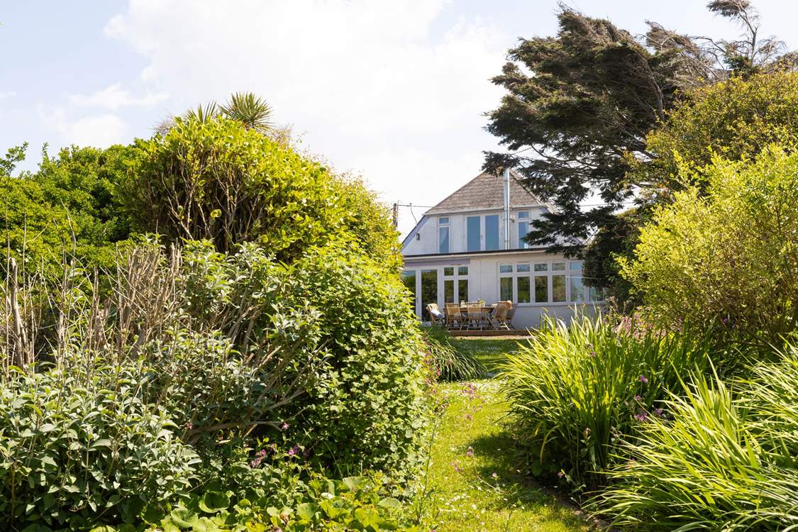 Welcome to Twelve Steps, looking through from the garden.