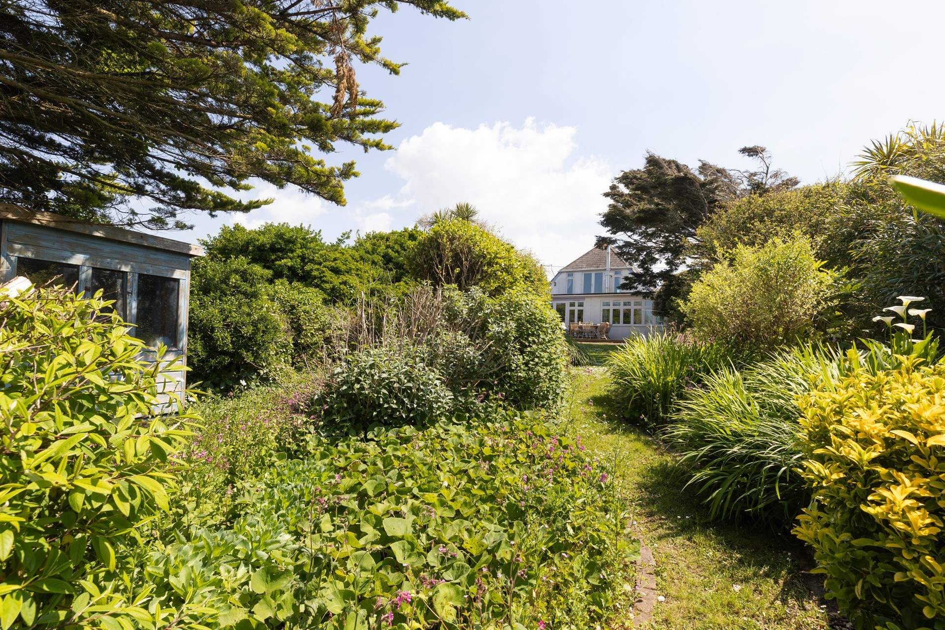 Looking back at Twelve Steps from the garden.