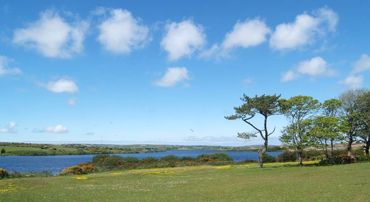 A view from the south of nearby Stithians Lake, the opposite side from the Watersports Centre and the Golden Lion pub.