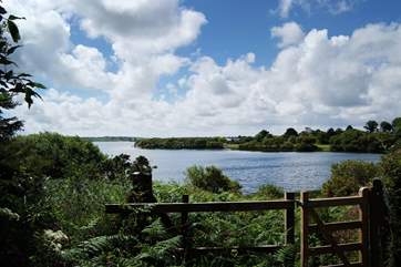 The area around Stithians lake is great for walking or something more active.