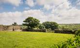 The large garden with space to play ball games, do cartwheels or just relax amongst the buttercups.  - Thumbnail Image