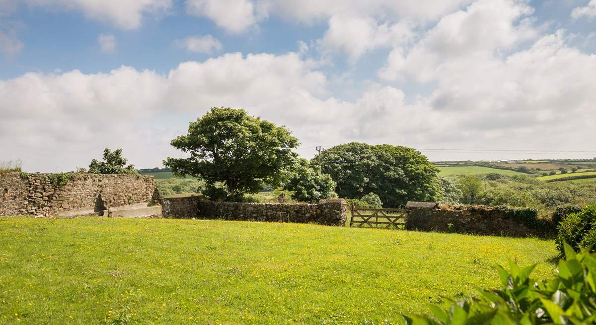 The large garden with space to play ball games, do cartwheels or just relax amongst the buttercups. 