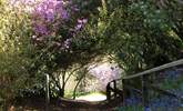 Caerhays Gardens are open daily from Monday 10th February- Sunday 8th June 2025. For opening times and information please visit the Caerhays Gardens website.  - Thumbnail Image