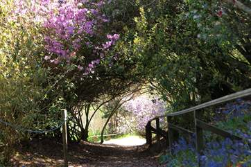 You can explore the estate gardens from 12th February to 16th June 2024. The castle will be open for guided tours from 11th March to 7th June 2024.