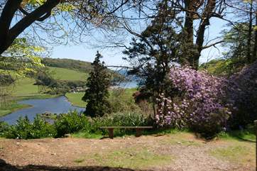 This is a beautiful area.