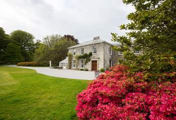 Visit Burncoose Nursery and Gardens - the family estate owns Gilly Barn and the gardens. Take the time to enjoy the 30 acres of woodland and the beautiful magnolias and Rhododendrons. Visitors to the Nursery and grounds are welcome between 09.30-16.00.