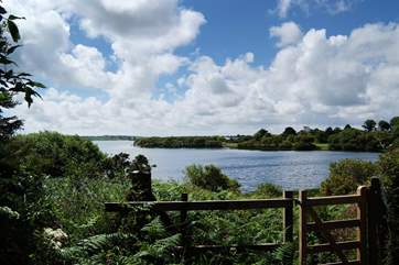 Stithians Lake is only a short drive away from the cottage.