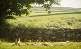 Wonderful countryside views, perfect for a picnic or sitting around the fire-pit. - Thumbnail Image