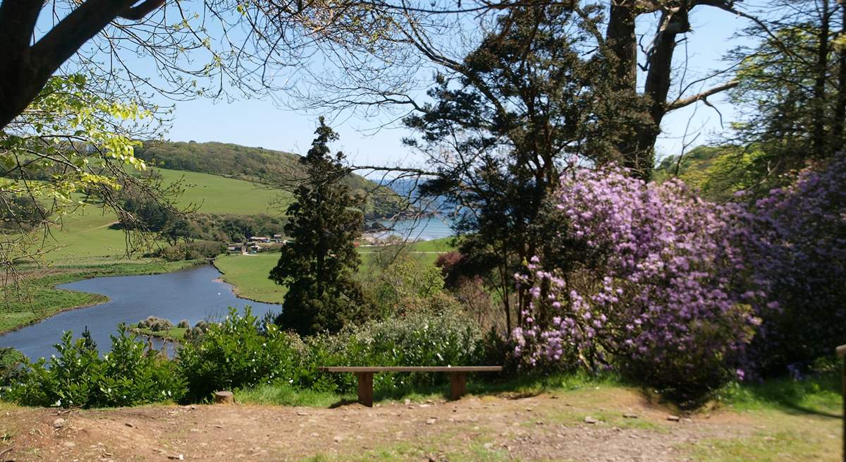 Caerhays Gardens are open daily from Monday 10th February- Sunday 8th June 2025. For opening times and information please visit the Caerhays Gardens website. 