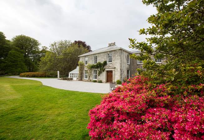 Visit Burncoose Nursery and Gardens - the family estate owns Gilly Barn and the gardens. Take the time to enjoy the 30 acres of woodland and the beautiful magnolias and Rhododendrons. Visitors to the Nursery and grounds are welcome between 09.30-16.00.
