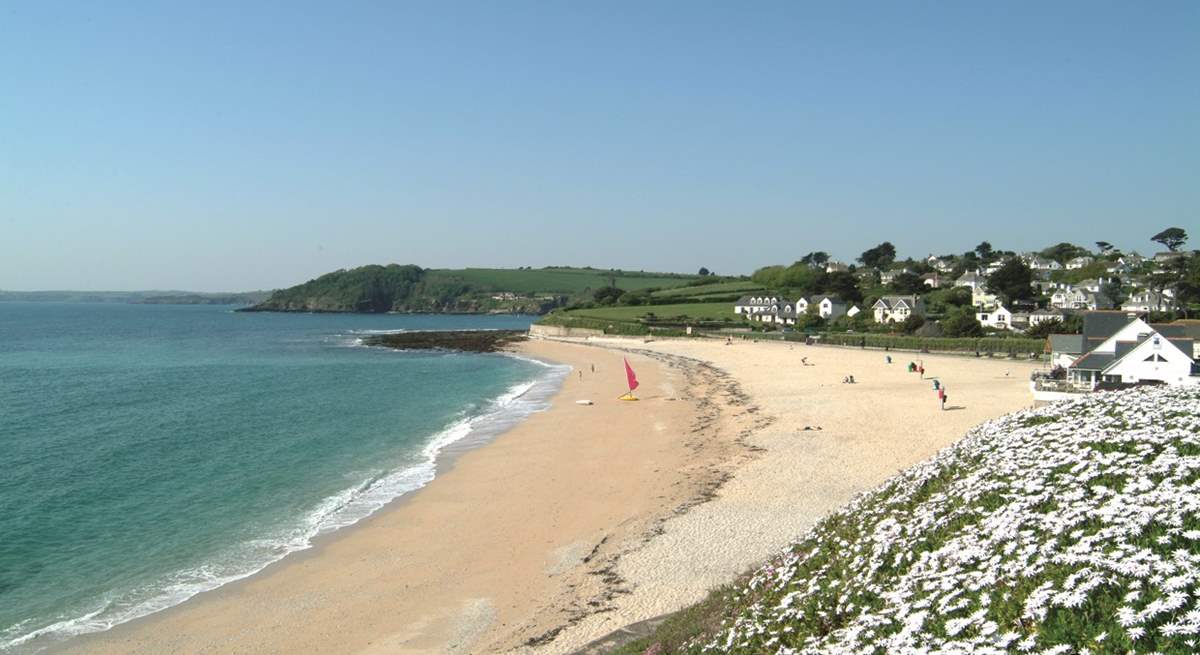 Gyllyngvase beach in Falmouth.