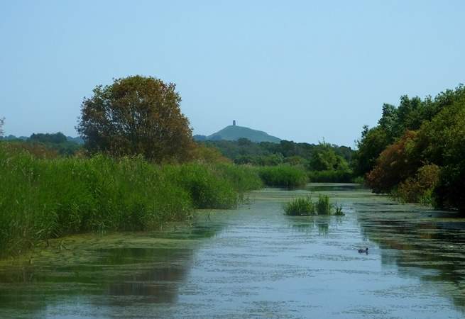 The beautiful Somerset Levels at Ham Wall, looking towards Glastonbury Tor.  A wonderful place to see Starling murmurations in winter and a chosen destination for bird-watching.