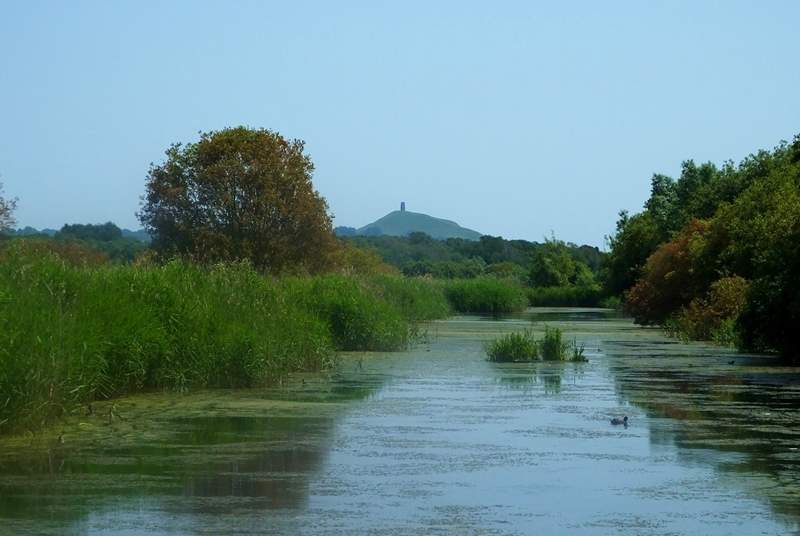 The beautiful Somerset Levels at Ham Wall, looking towards Glastonbury Tor.  A wonderful place to see Starling murmurations in winter and a chosen destination for bird-watching.