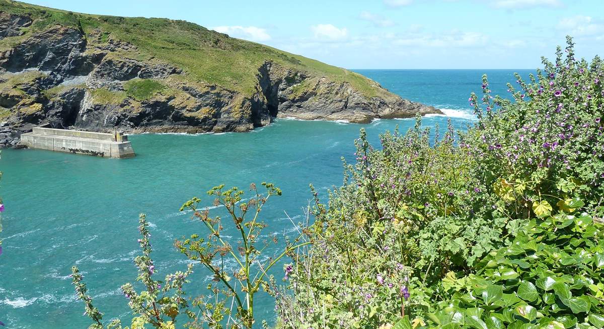 The harbour from the cliff edge at Port Isaac.